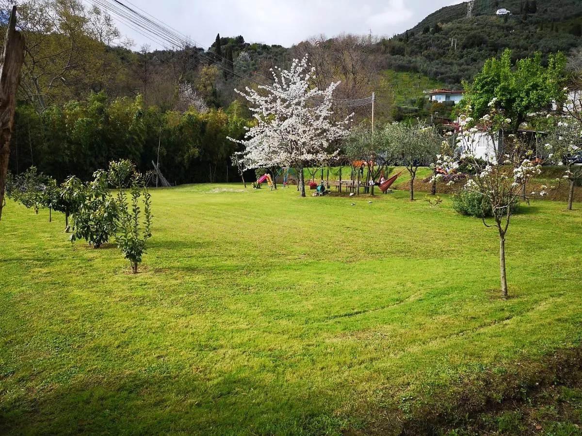 Casa Verziere Pietrasanta Holiday home