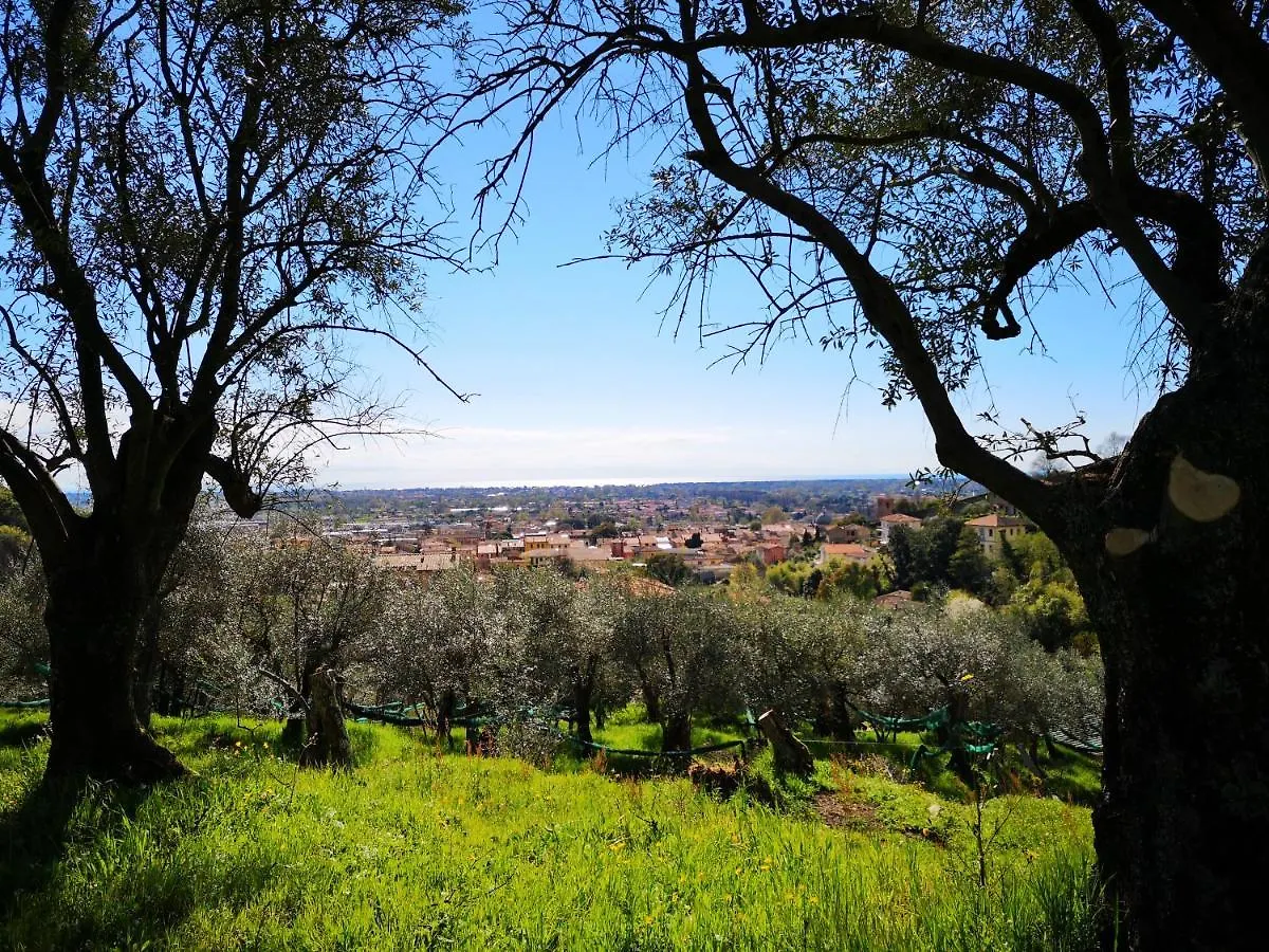 Holiday home Casa Verziere Pietrasanta