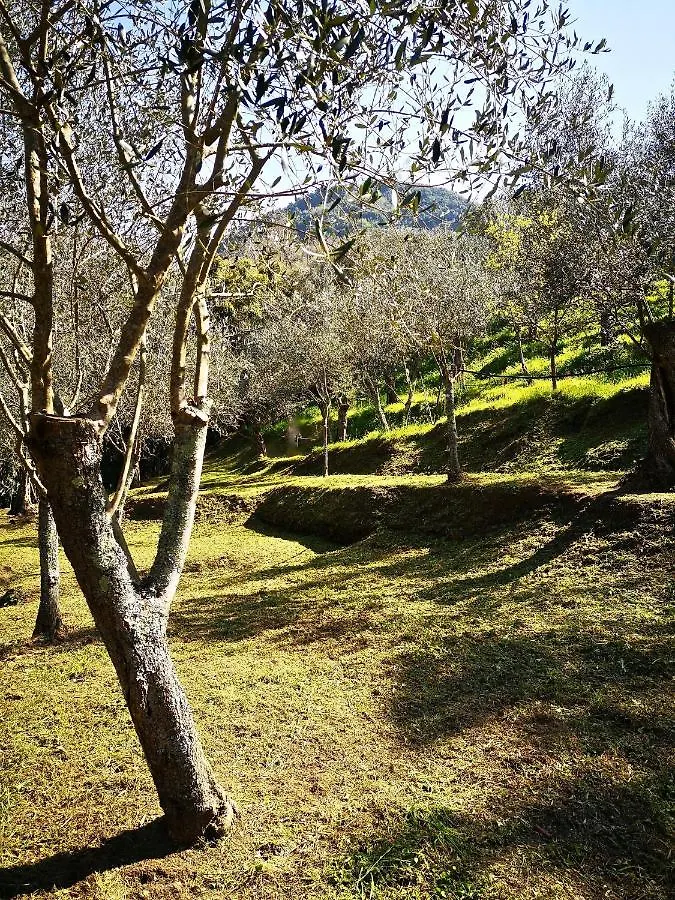 Holiday home Casa Verziere Pietrasanta