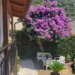 La Bouganville E Il Gelsomino Appartement